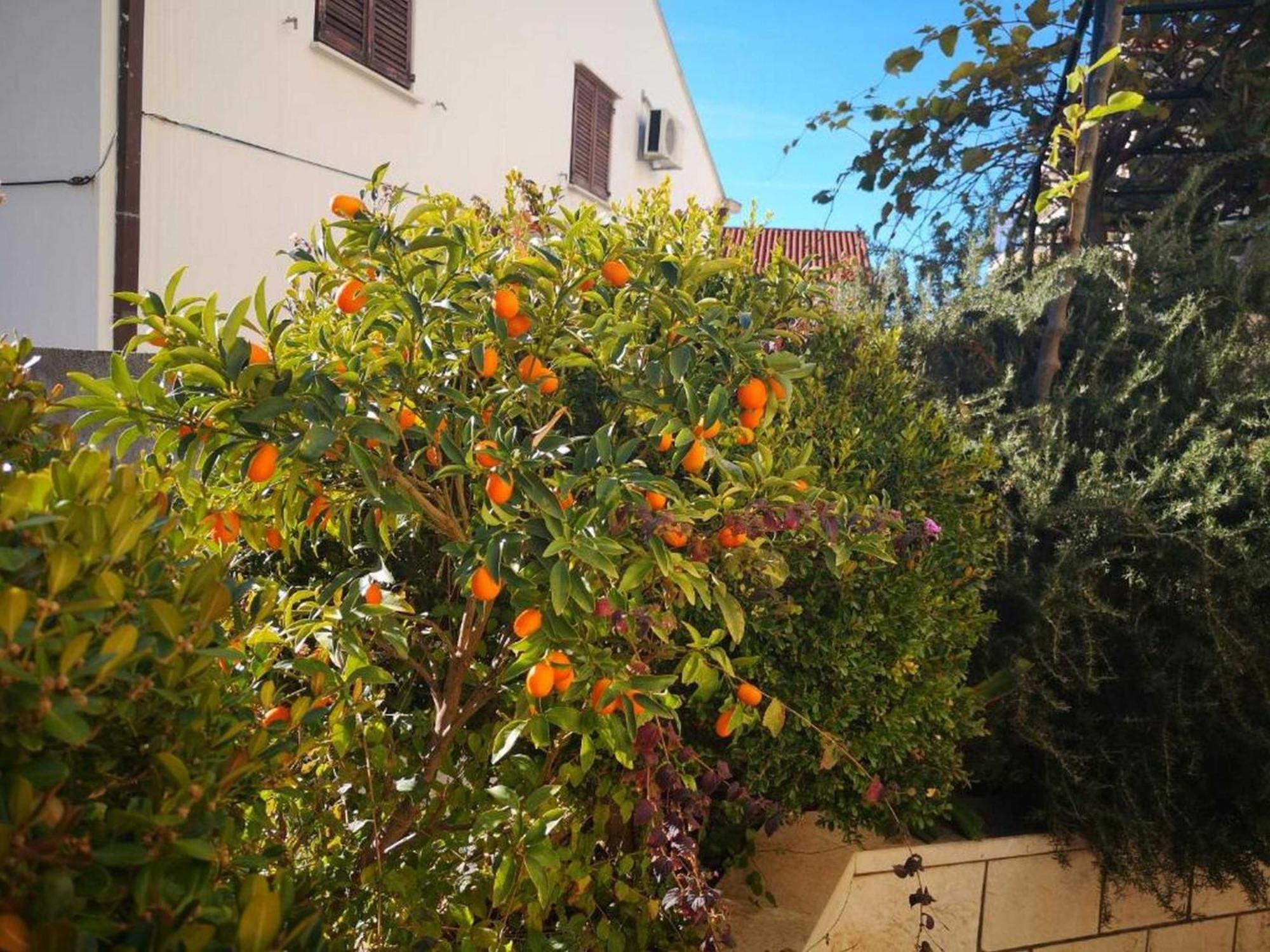 City Apartments Lani دوبروفينك المظهر الخارجي الصورة